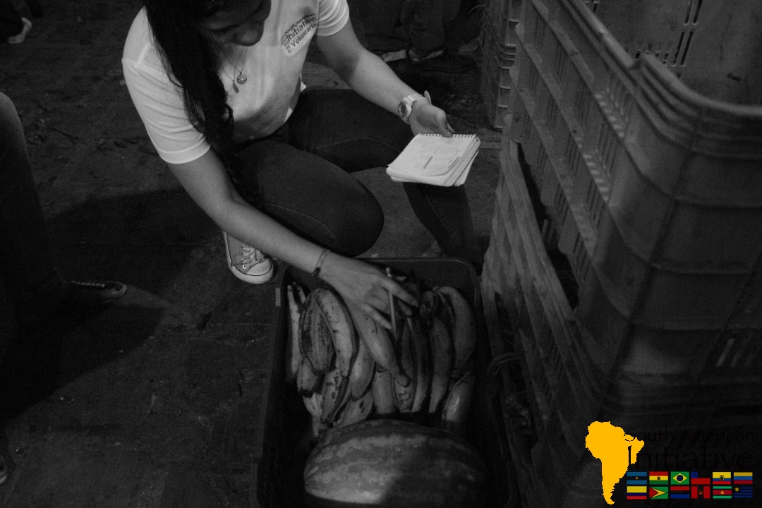 SAI volunteer sorting bananas and supplies for rescued animals during a care mission in Venezuela.
