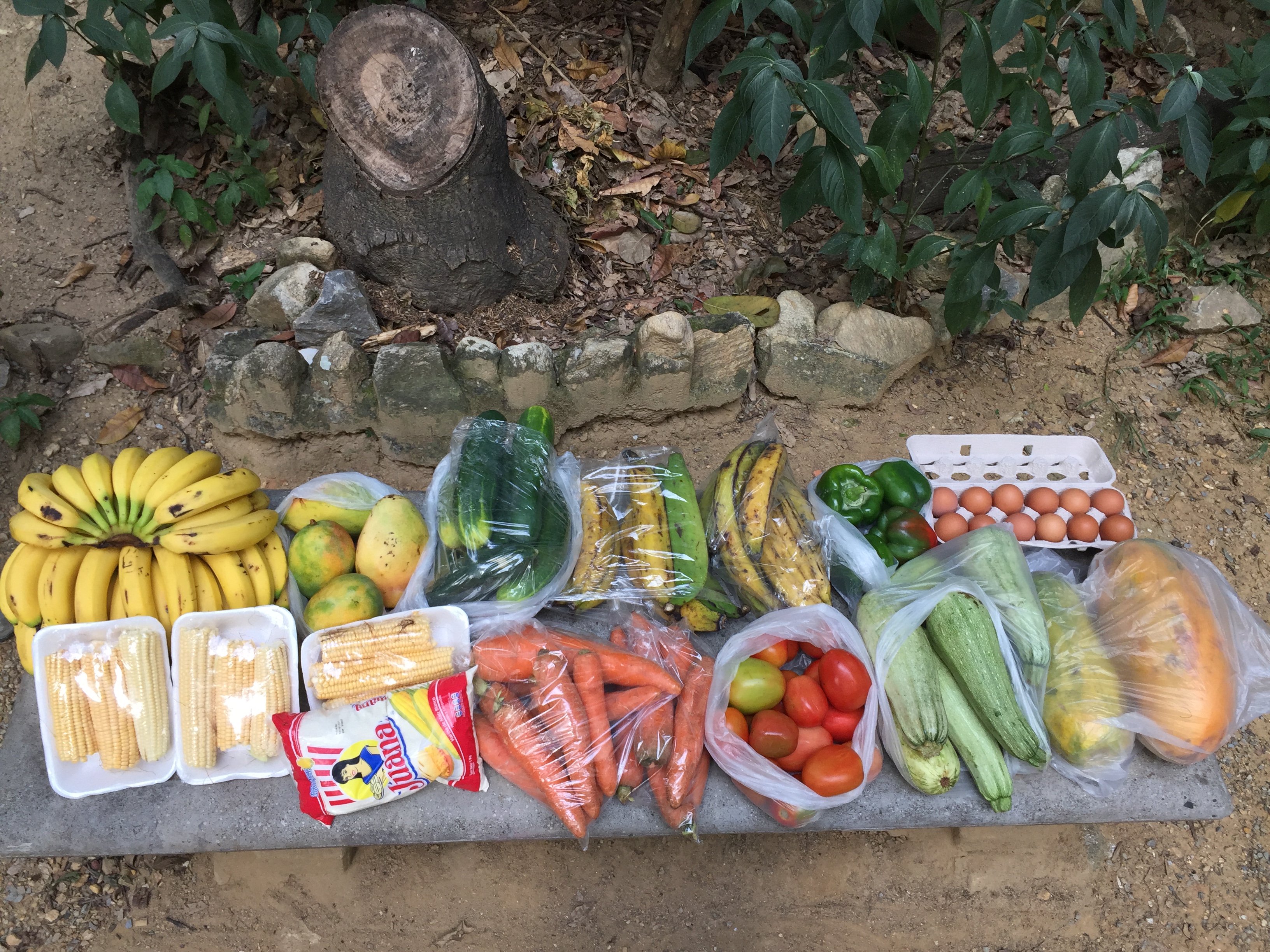 Fresh fruits, vegetables, eggs, and other food supplies prepared for zoo animals in Venezuela.