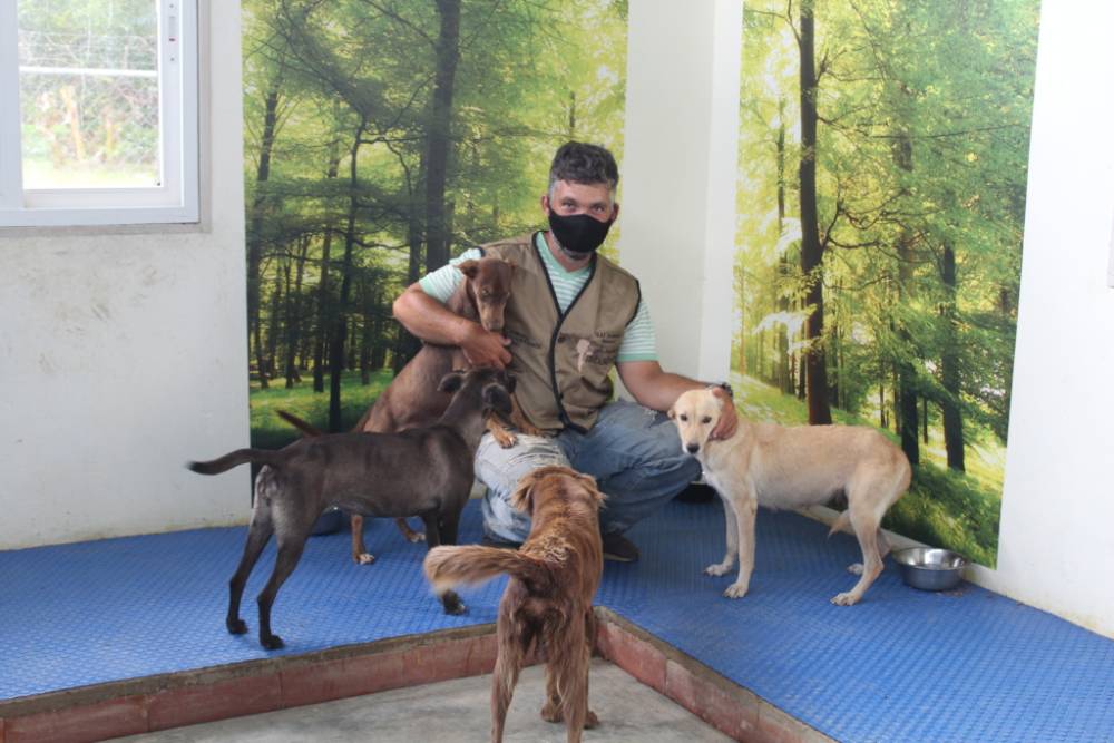 Rescuing Stray Dogs: Dogs have A Second Chance!