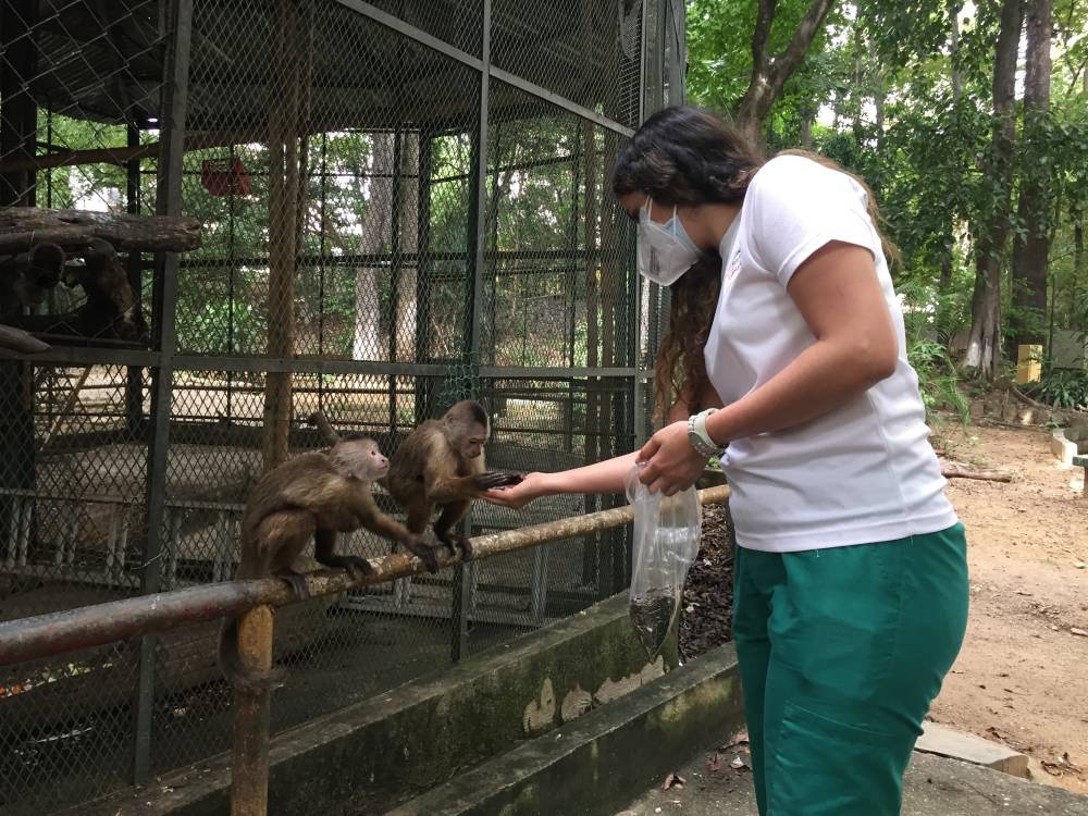 SAI-A&G animal rescue program