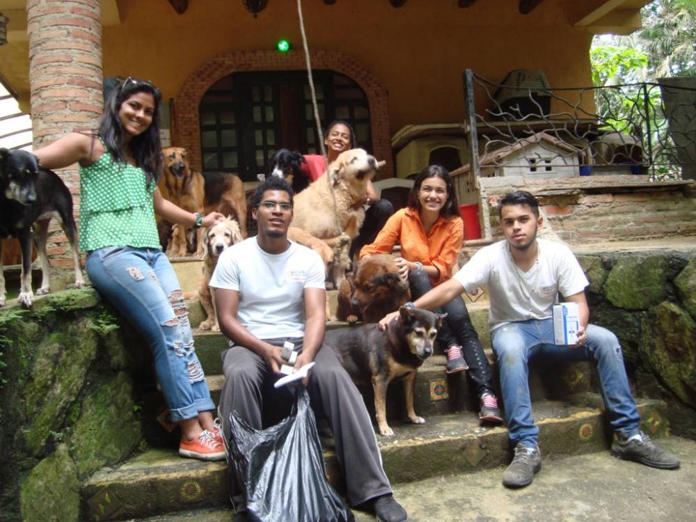 SAI Creates Safe Haven For Abandoned Dogs