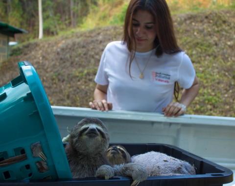 Endangered Animal Rescue Fund