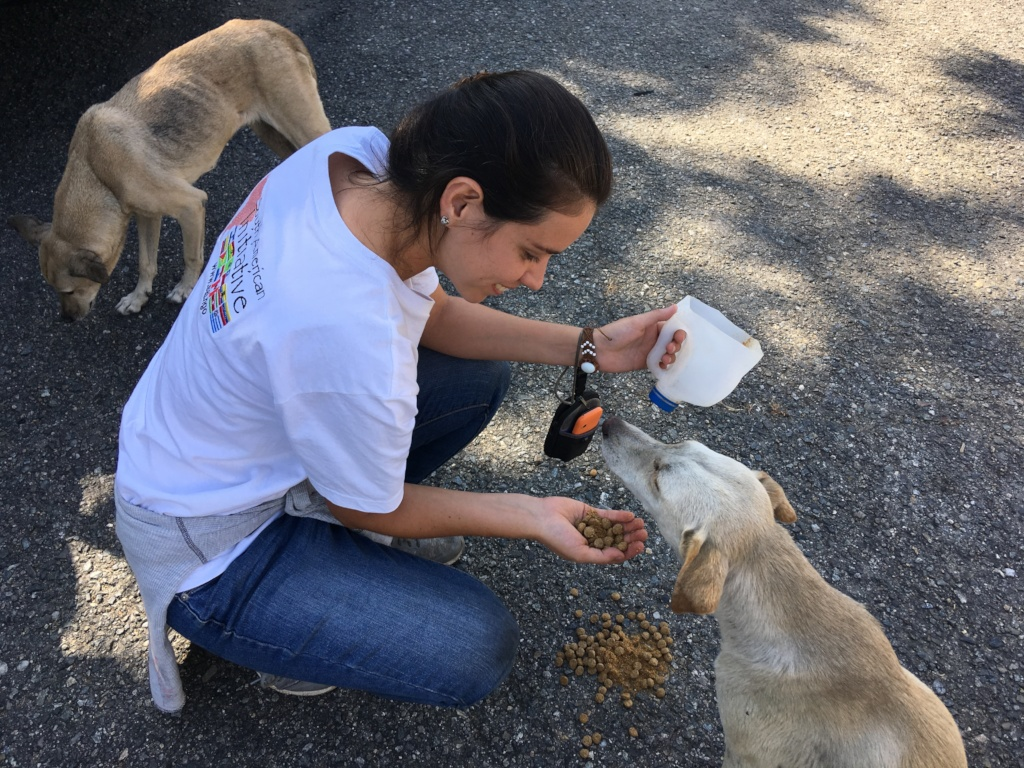 We Have A Big Heart For Animals Especially Those Abandoned & Neglected in Venezuela